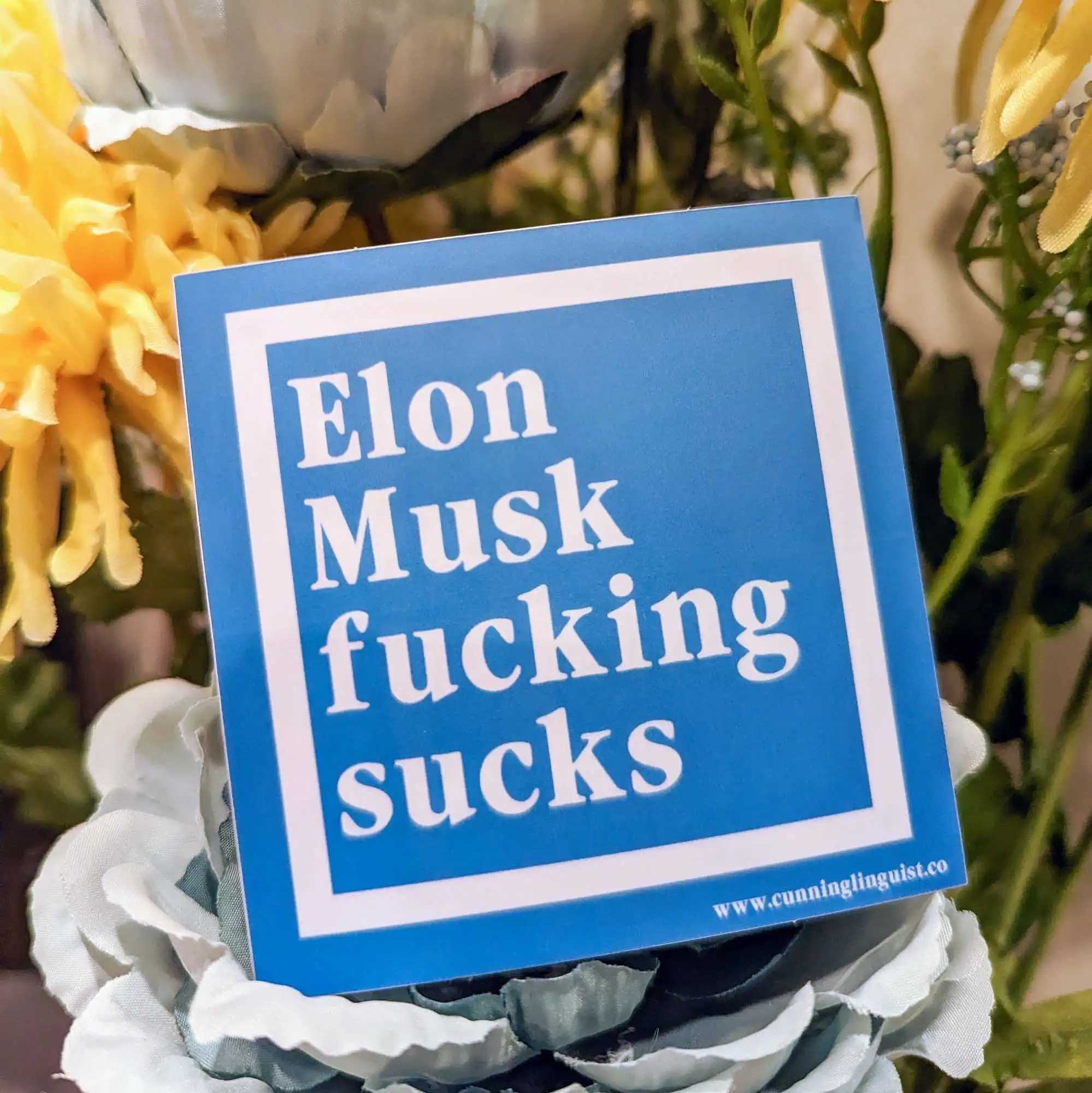 Elon Sucks sticker