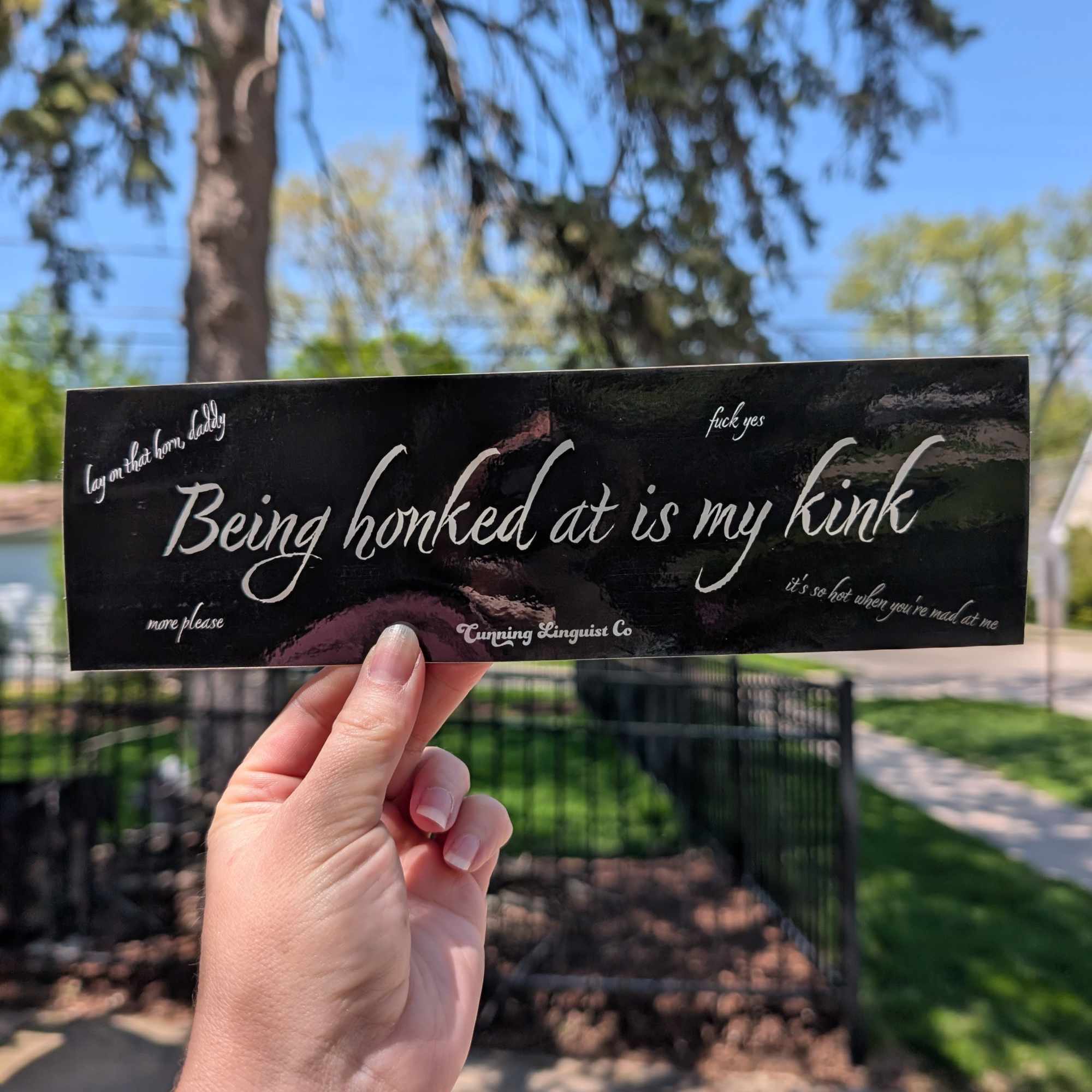 Being Honked At Is My Kink bumper sticker