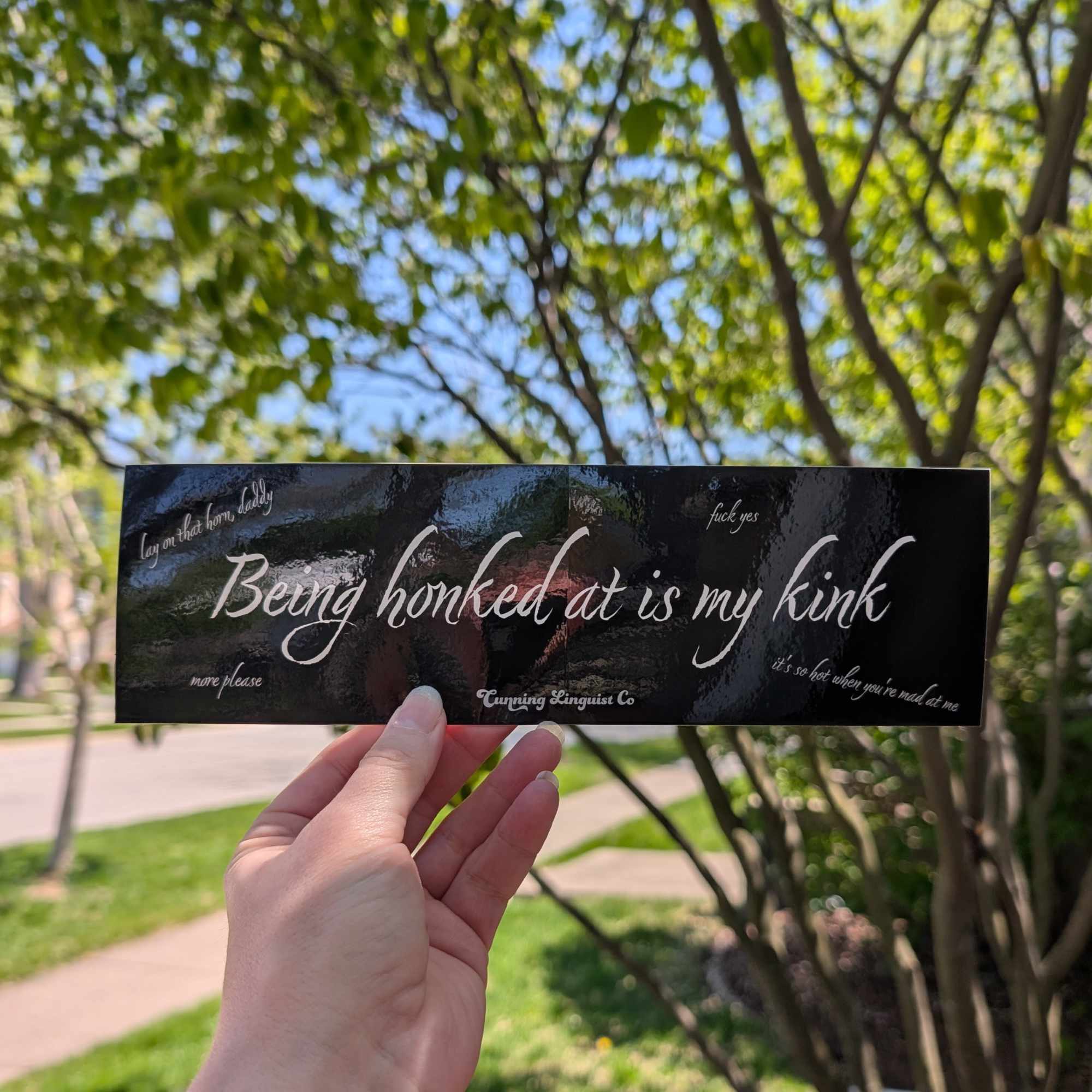 Being Honked At Is My Kink bumper sticker