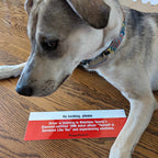Yourself or Someone Like You bumper sticker