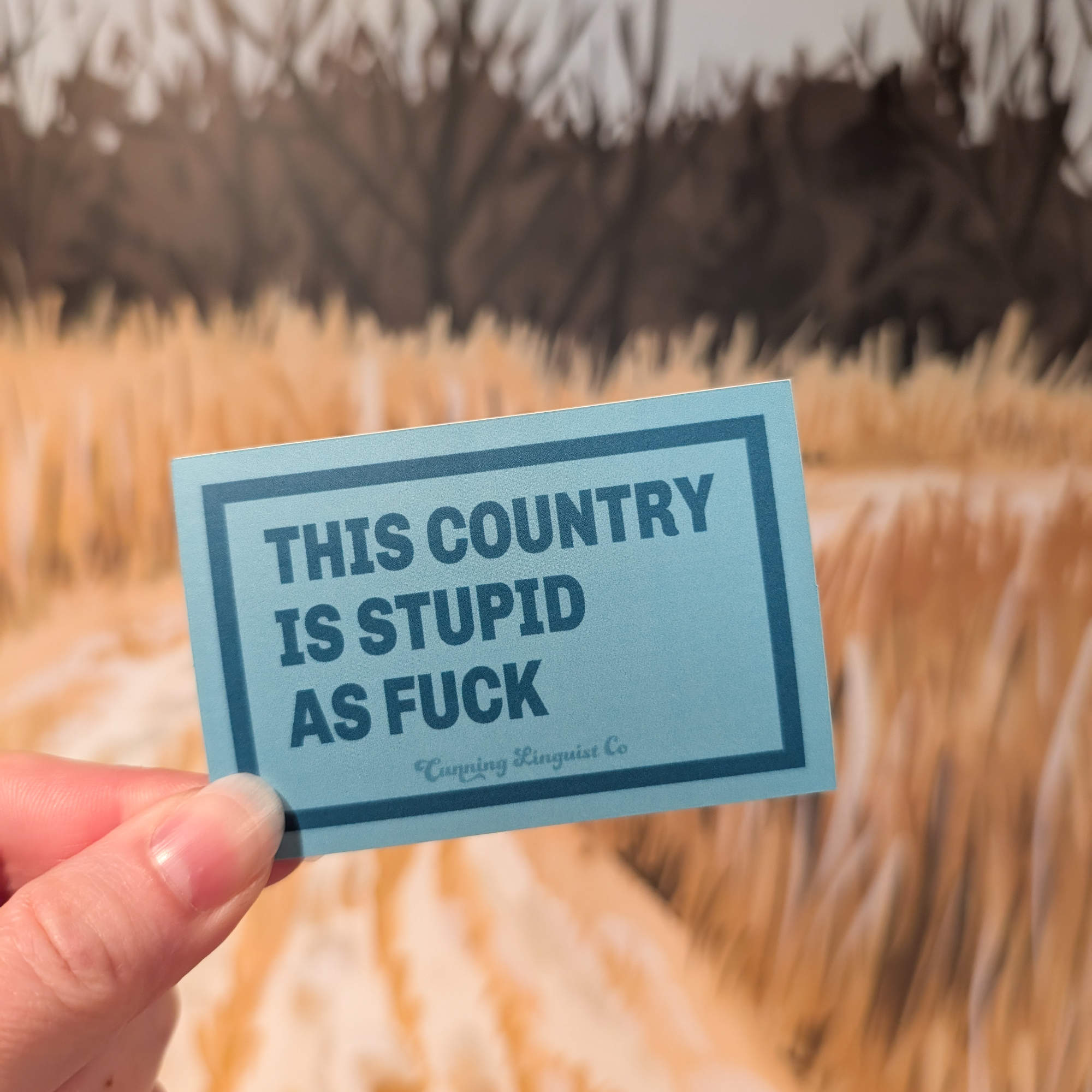 Stupid Country sticker