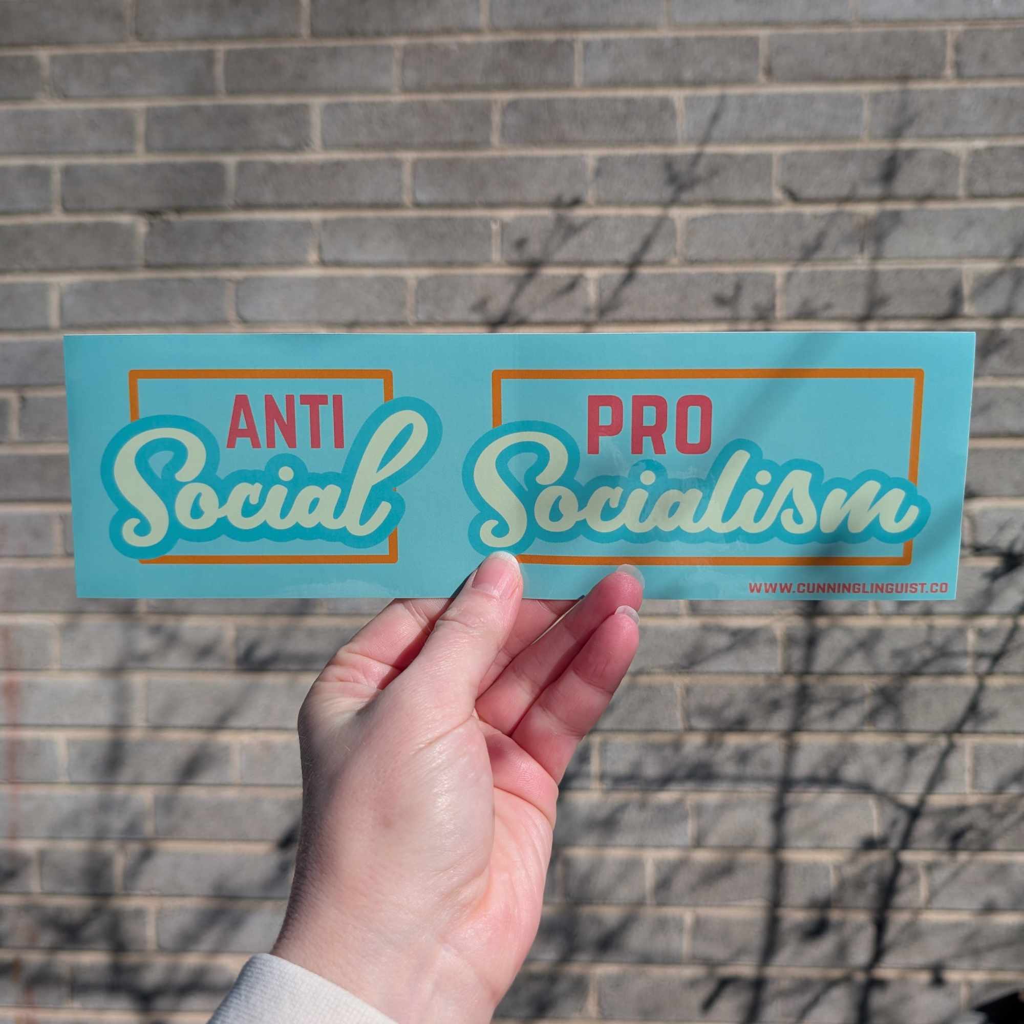 Antisocial/Pro-Socialism bumper sticker