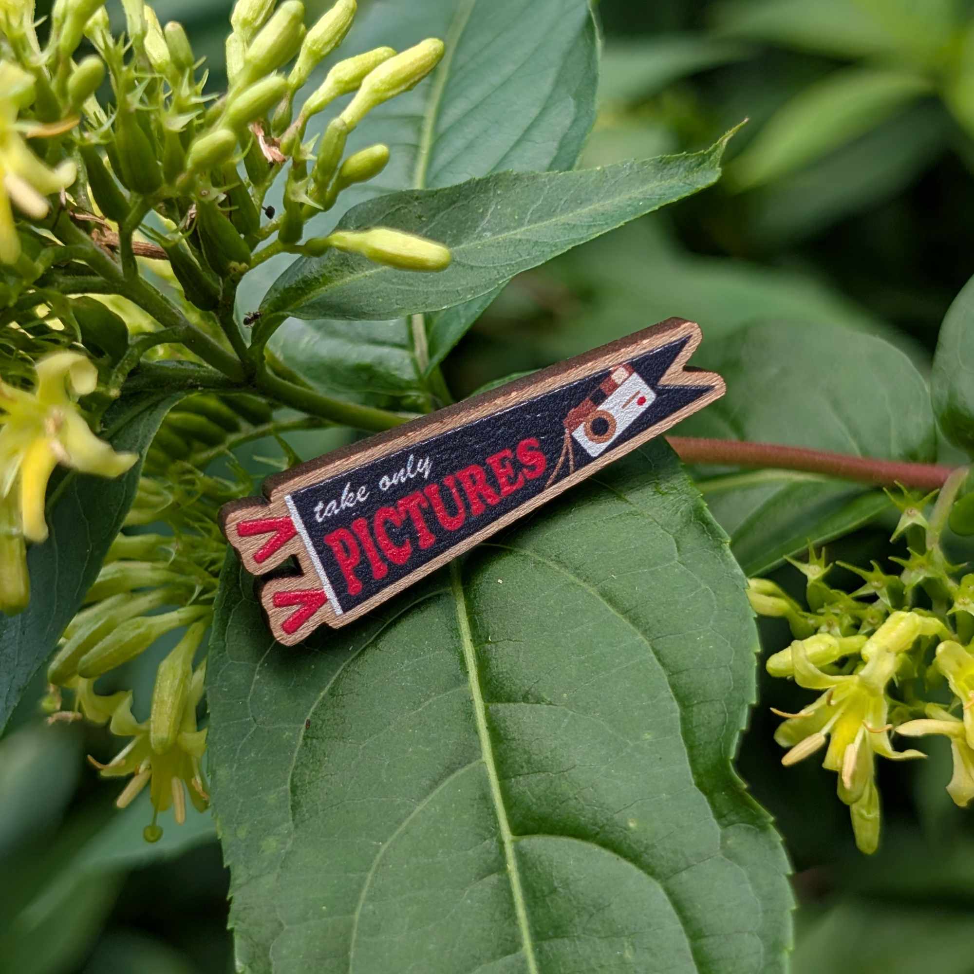 Take Only Pictures wooden pin (black version)