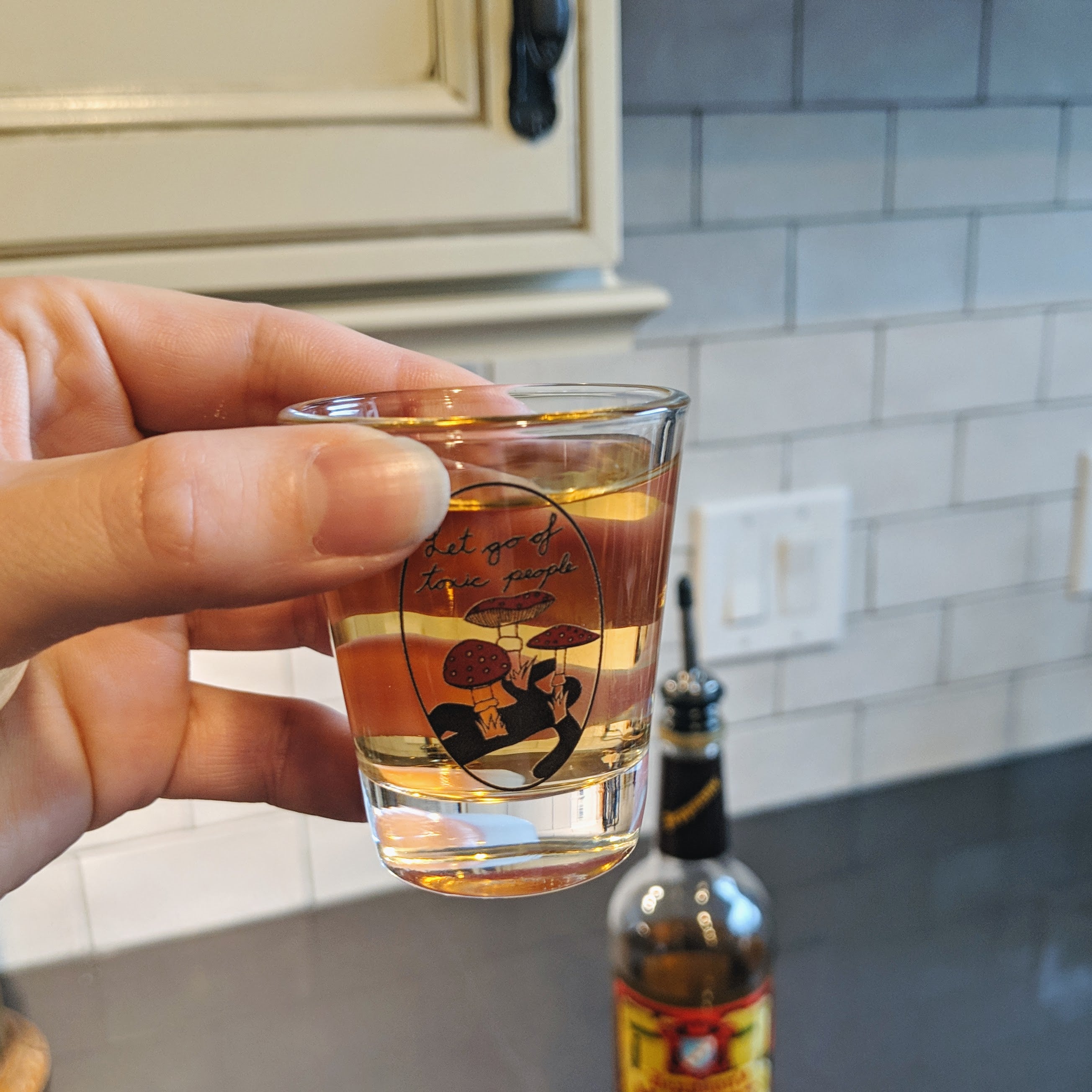 Let Go of Toxic People shot glass